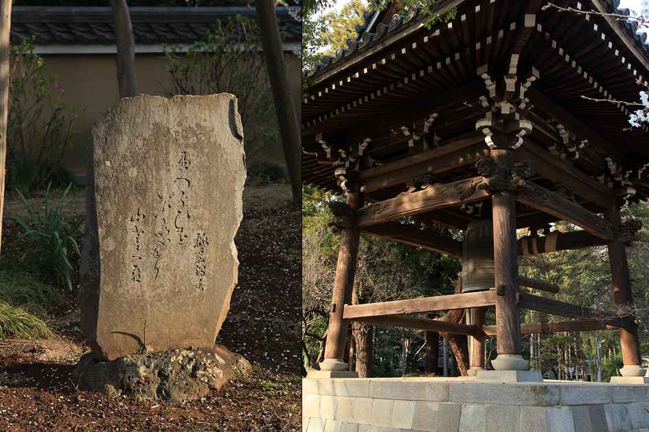 東漸寺のしだれ桜