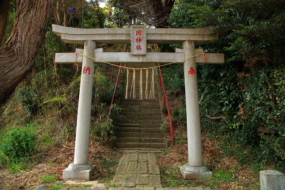 岡神社の山桜