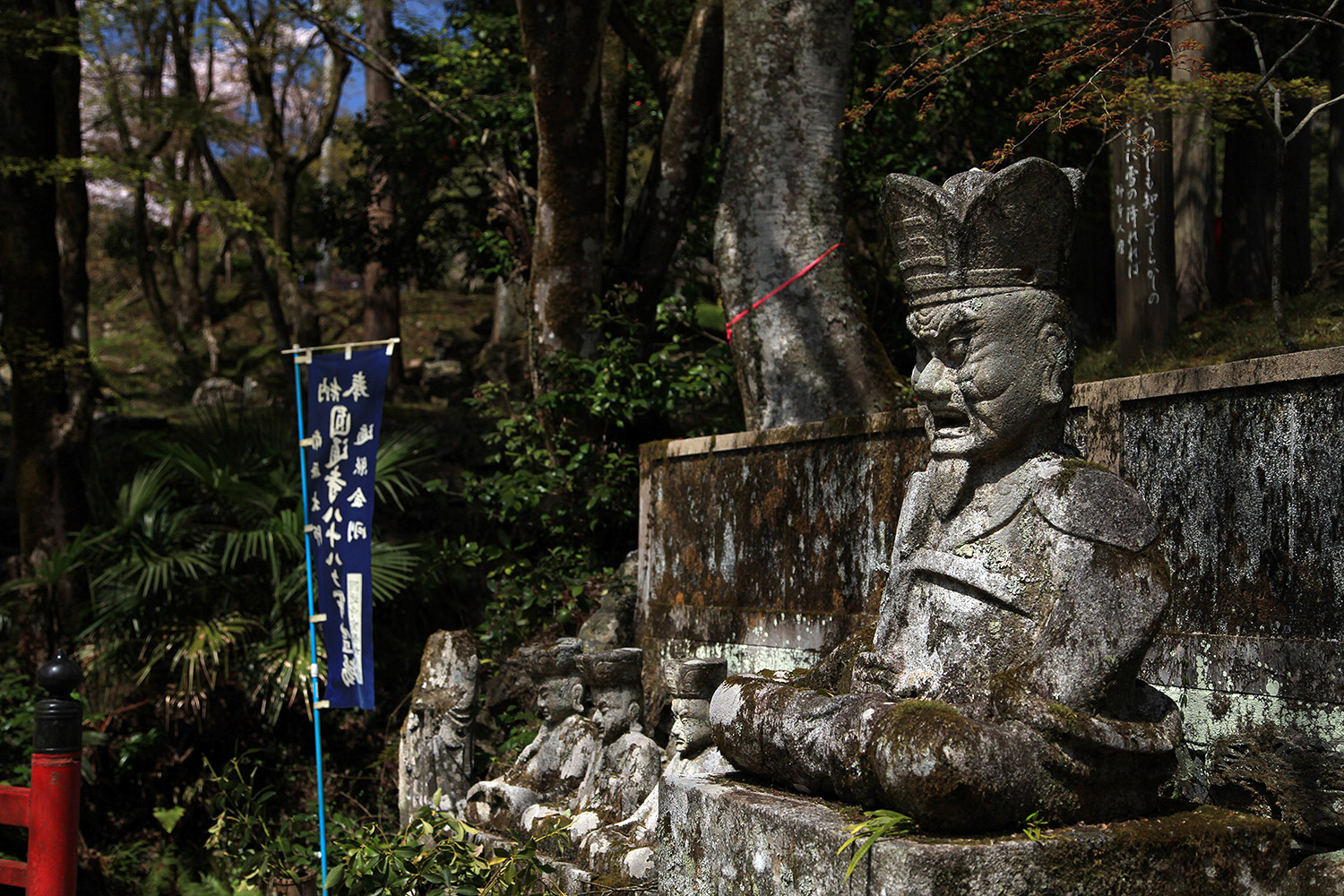 円通寺の一本桜