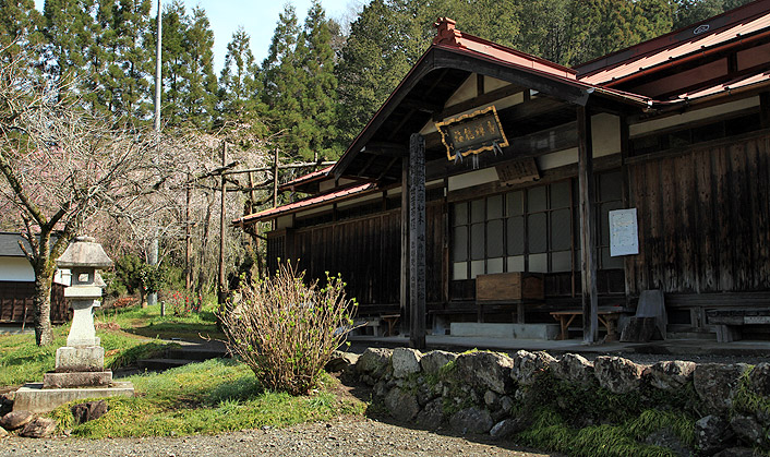 福徳寺のしだれ桜