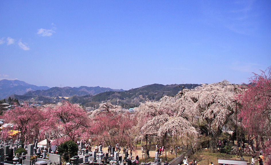 清雲寺