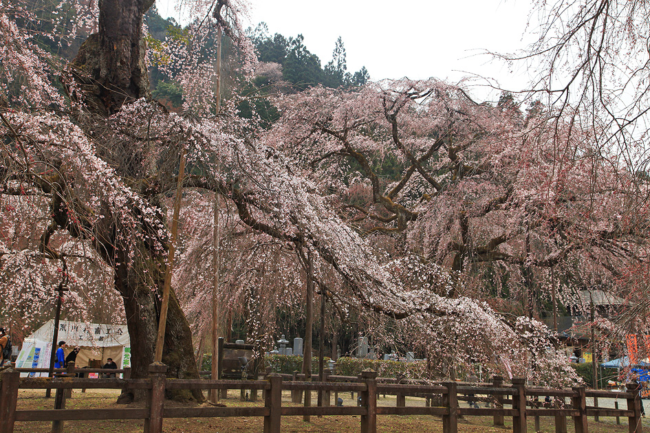 清雲寺