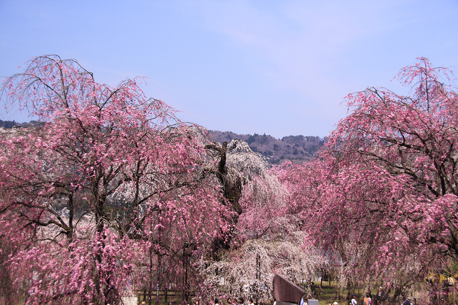 清雲寺