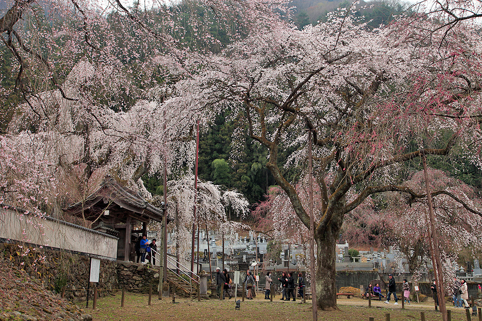 清雲寺