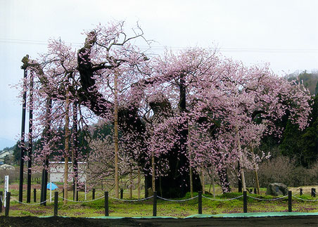 �đ� ��΍�