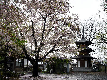 �b�����i���؊ω����j