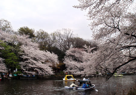 ��̓���������