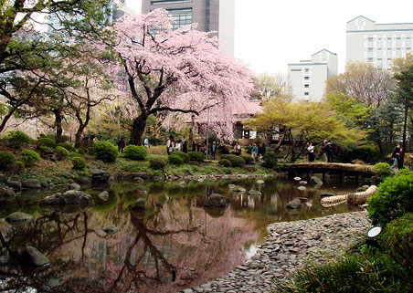 ���ΐ��y��