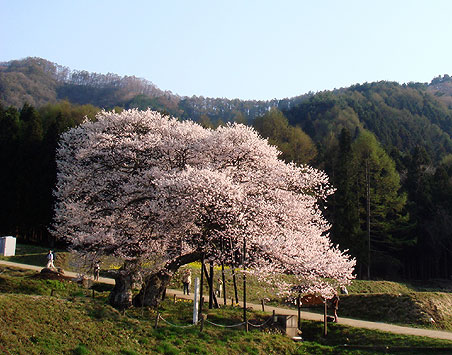 �����̃G�h�q�K����