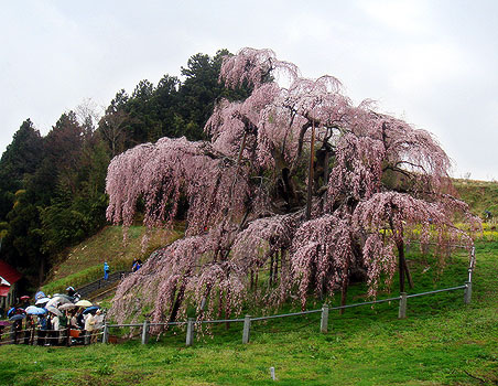 �O�t�@���