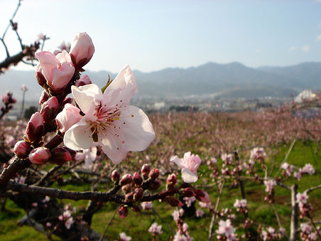 �R�� ������