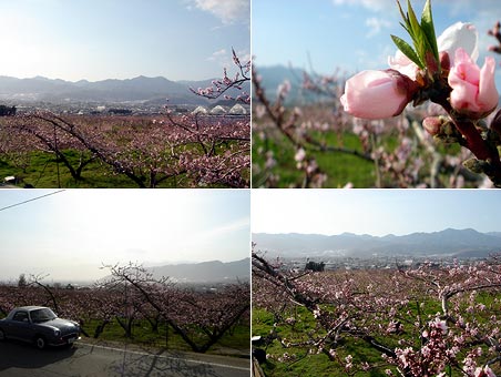 �R�� ������