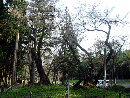 �ֈ֐_�� �厭��