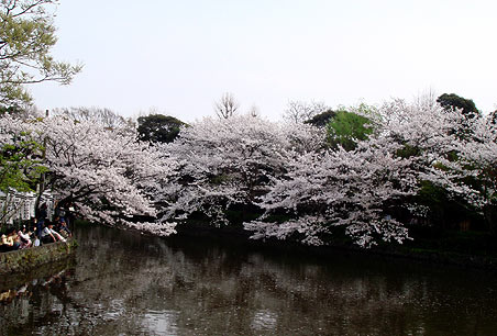 �߉������{