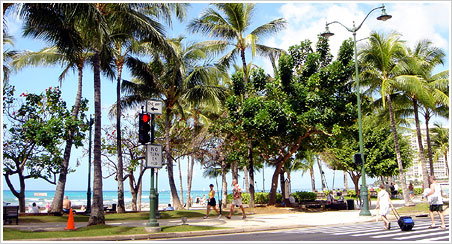 ���C�L�L�r�[�`