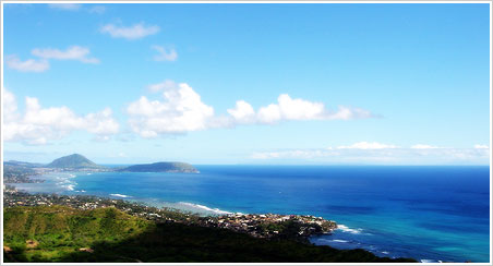 �_�C�������h�w�b�h