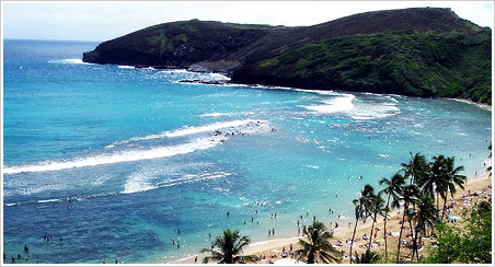 �n�i�E�}�p