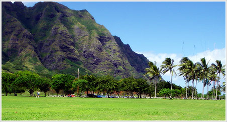 ���C�݁`�m�[�X�V���A