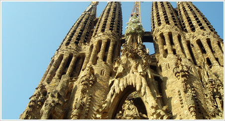 �X�y�C�� �T�O���_�E�t�@�~���A