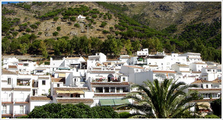 �X�y�C�� �~�n�X