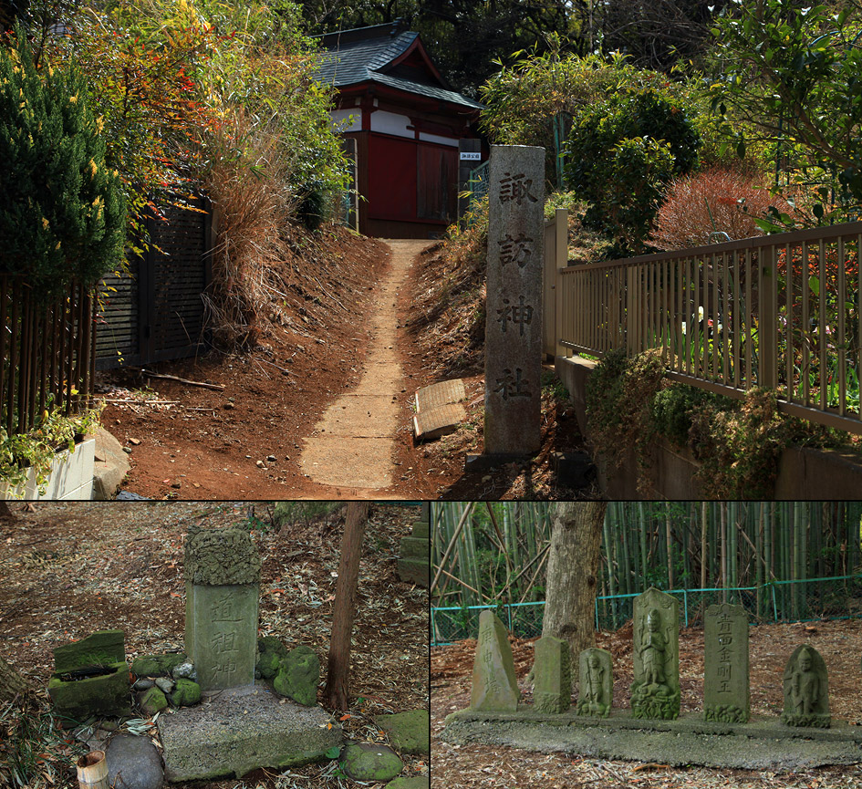 羽根野諏訪神社の白山桜