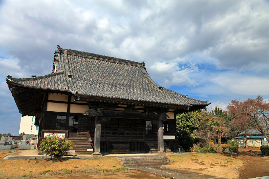 西林寺のしだれ桜