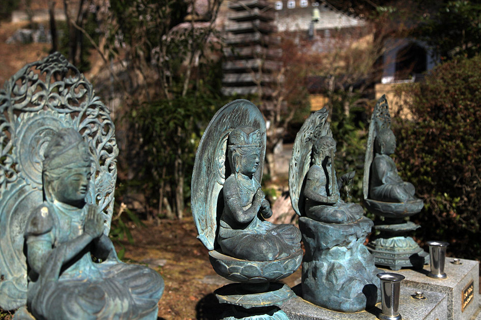 泉福寺のしだれ桜