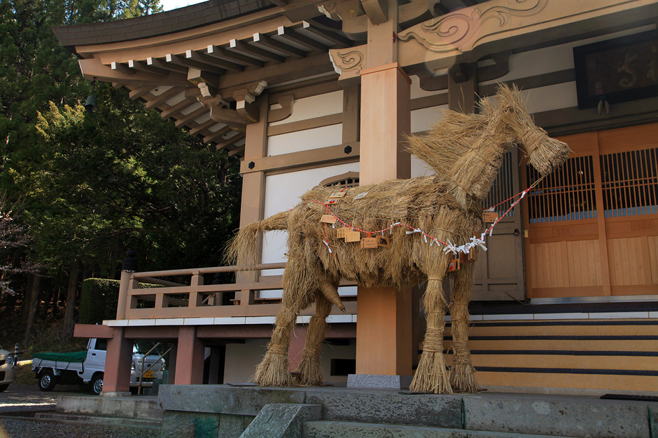長谷寺のしだれ桜