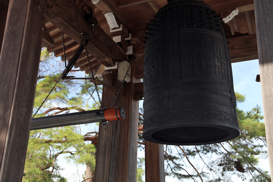 長谷寺のしだれ桜