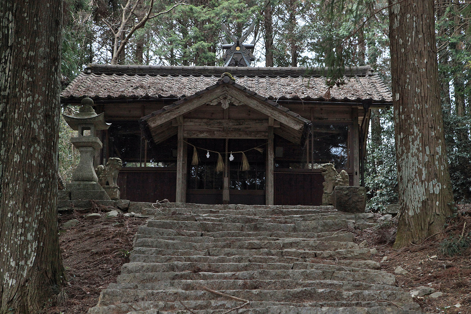井戸鐘乳穴神社のサクラ