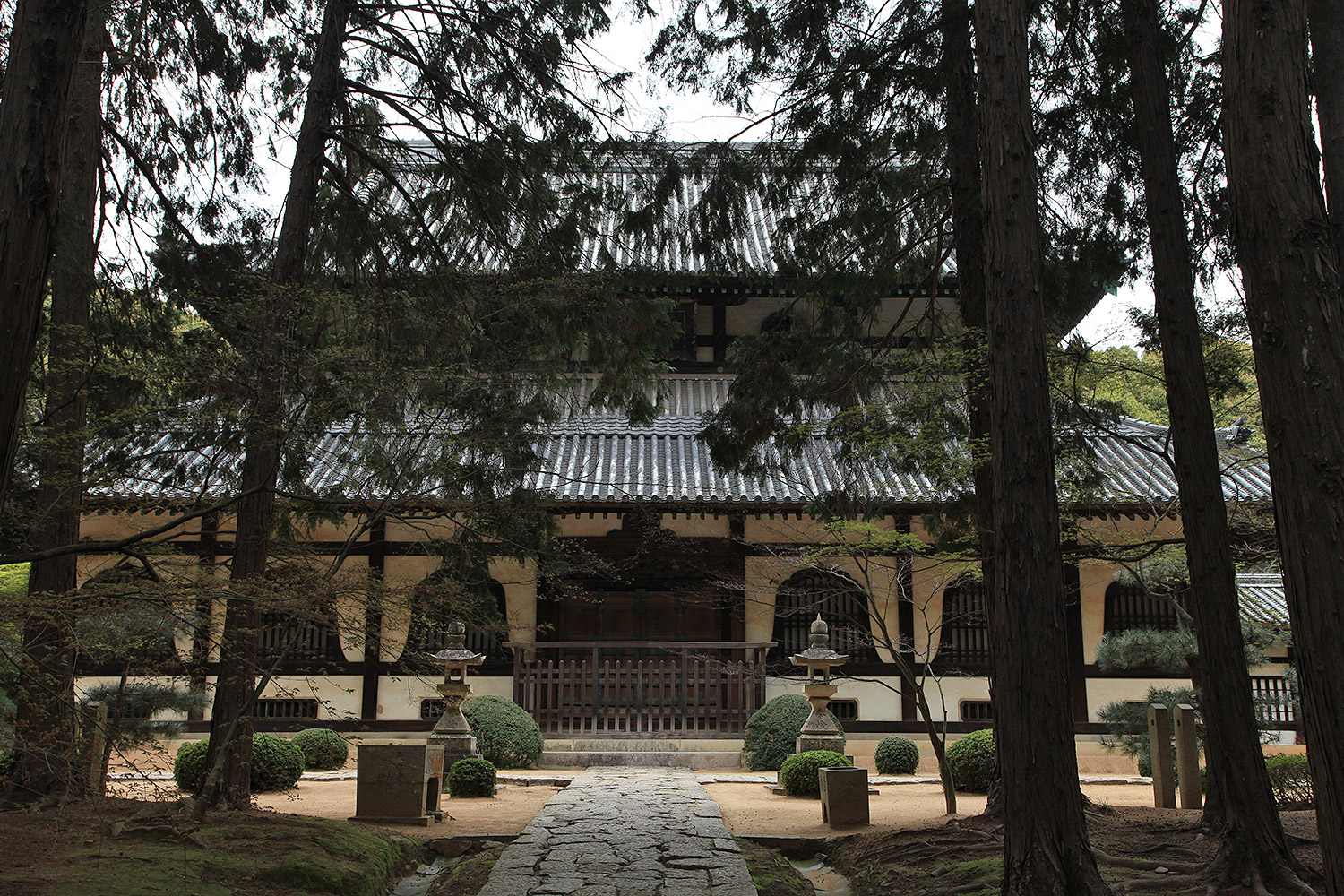曹源寺のしだれ桜