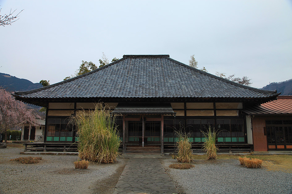 道光寺のしだれ桜