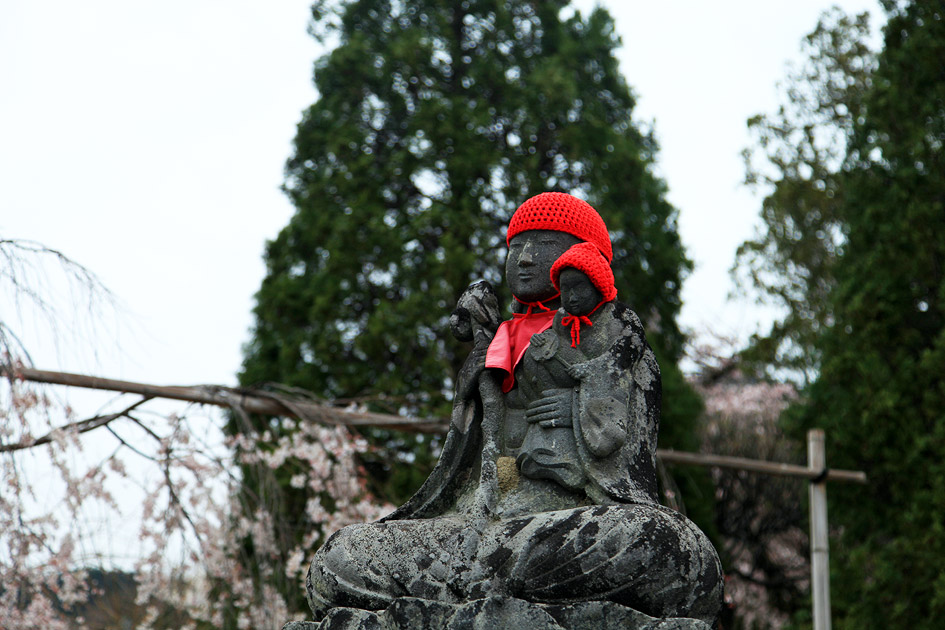 法善寺のしだれ桜